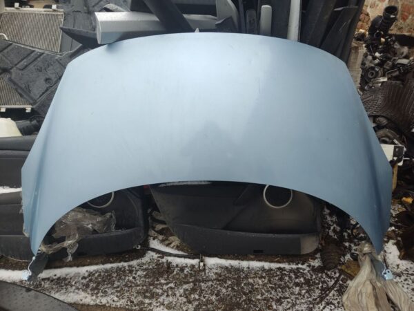Б/У Капот голий  світло-голубий RENAULT SCENIC III 651000036r