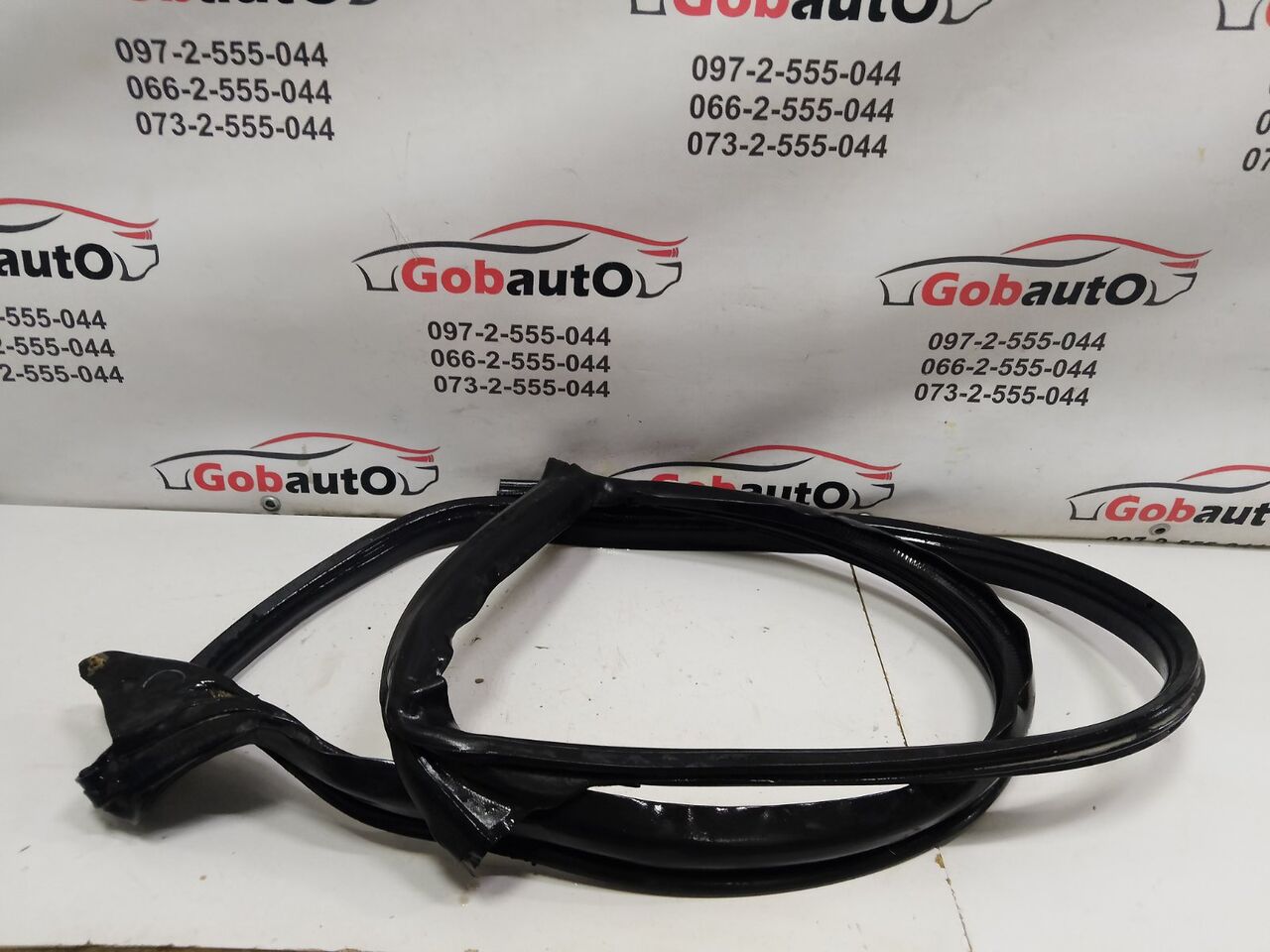 Б/У Ущільнювач дверей передніх правий TESLA TESLA MODEL 3 М141 1090494-00-D