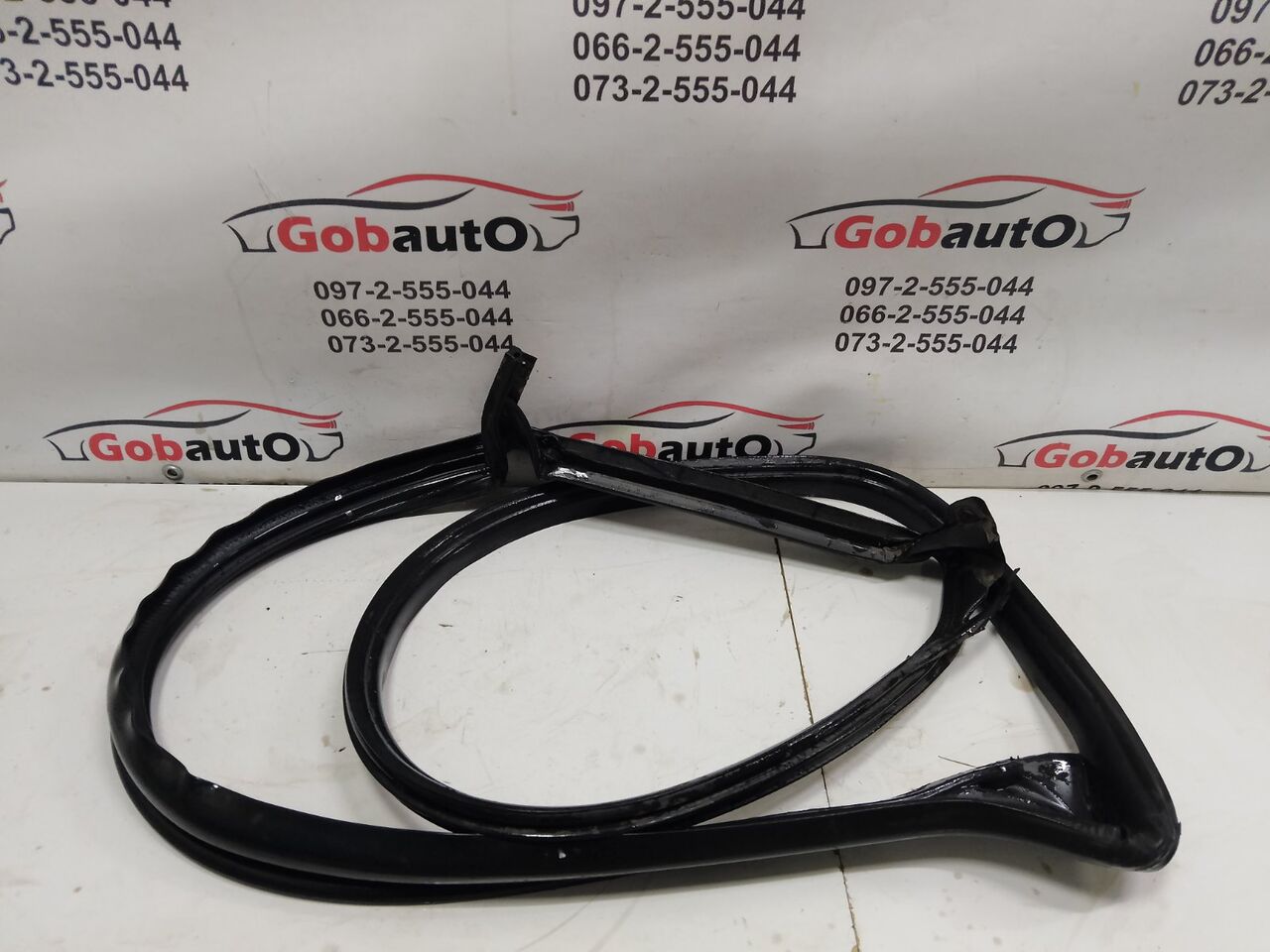 Б/У Ущільнювач дверей передніх лівий TESLA TESLA MODEL 3 М141 1090493-00-D