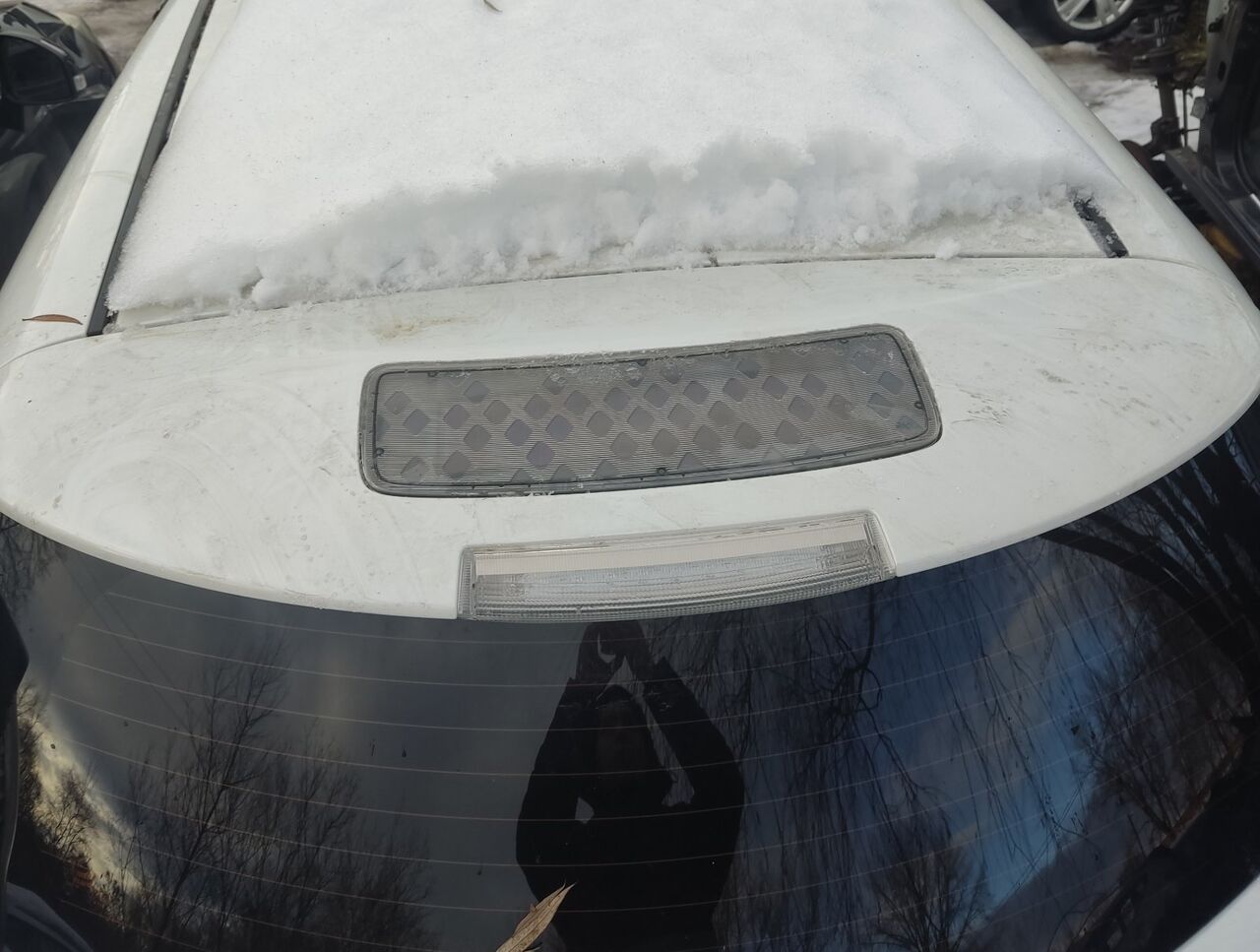 Б/У Спойлер голий без фотоелемента білий NISSAN LEAF 960303NA0B